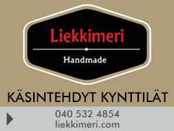 Liekkimeri logo